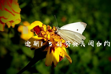 逾期15日将会关闭合约 逾期15日将会关闭合约
