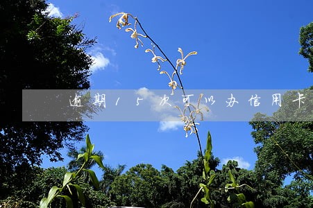 逾期15次可以办信用卡吗 逾期15次可以办信用卡吗