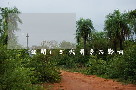 逾期15次有多大影响 逾期15次有多大影响