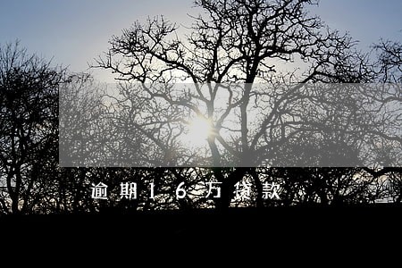 逾期16万贷款 逾期16万贷款