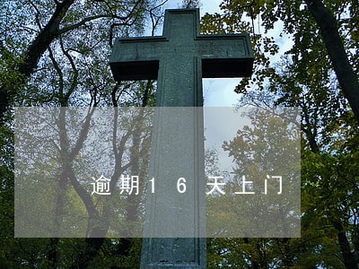 逾期16天上门