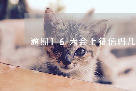 逾期16天会上征信吗几十块钱