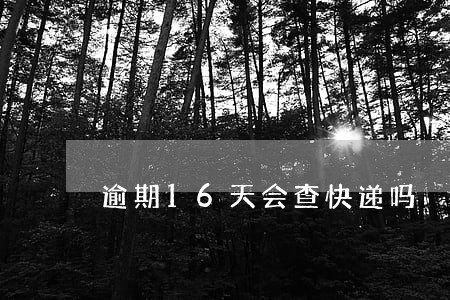 逾期16天会查快递吗