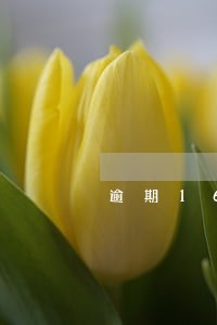 逾期16天还款不算老赖吧 逾期16天还款不算老赖吧