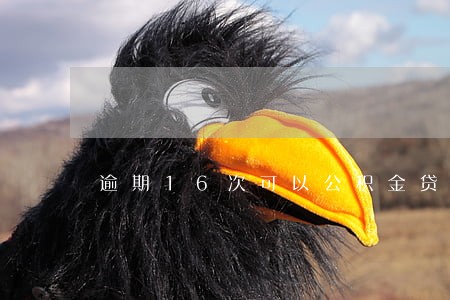 逾期16次可以公积金贷款吗 逾期16次可以公积金贷款吗