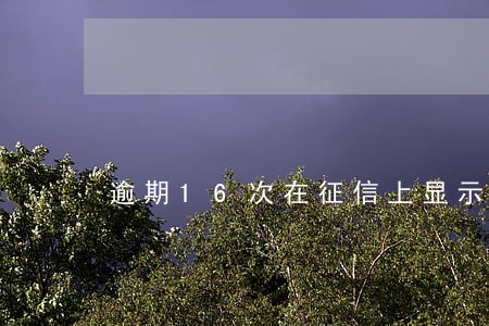 逾期16次在征信上显示什么状态 逾期16次在征信上显示什么状态