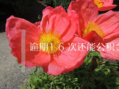 逾期16次还能公积金贷款 逾期16次还能公积金贷款