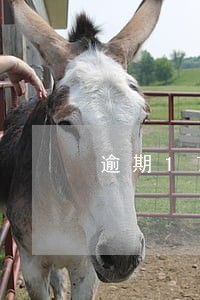 逾期17天利息涨42合法吗 逾期17天利息涨42合法吗