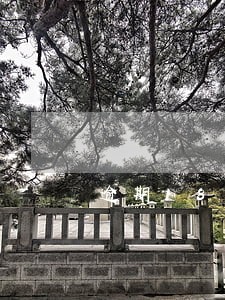 逾期180天以上征信怎么恢复 逾期180天以上征信怎么恢复