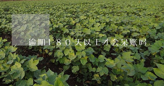 逾期180天以上才会呆账吗 逾期180天以上才会呆账吗