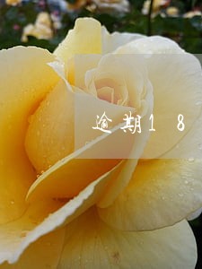 逾期180天以上贷款已还清 逾期180天以上贷款已还清