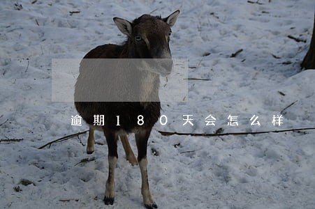逾期180天会怎么样