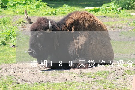 逾期180天贷款五级分类 逾期180天贷款五级分类