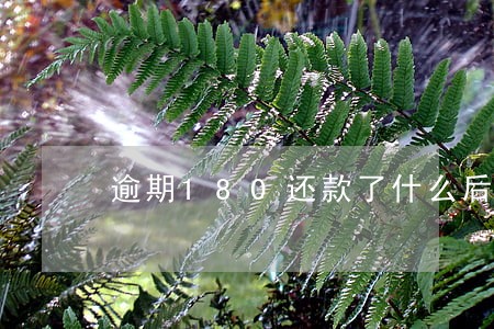 逾期180还款了什么后果