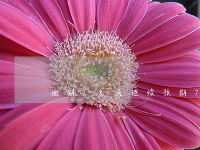 逾期18月连续预期7月 逾期18月连续预期7月