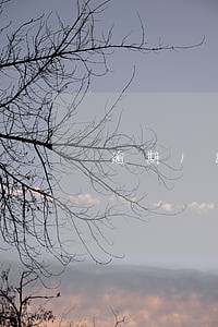 逾期18次可以贷款 逾期18次可以贷款