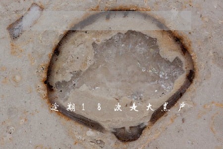 逾期18次是大黑户 逾期18次是大黑户