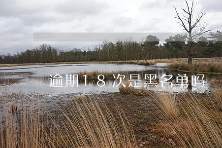 逾期18次是黑名单吗 逾期18次是黑名单吗