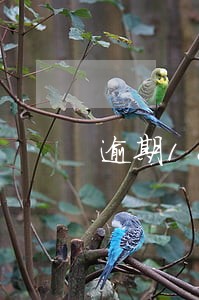 逾期18次算不算黑名单 逾期18次算不算黑名单