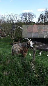 逾期190个工作日 逾期190个工作日