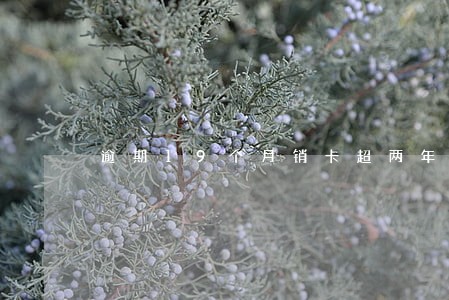 逾期19个月销卡超两年 逾期19个月销卡超两年
