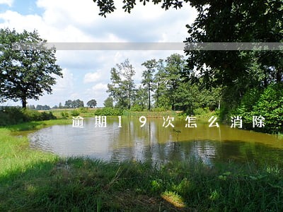 逾期19次怎么消除 逾期19次怎么消除