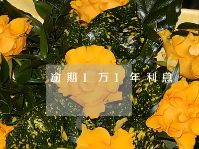 逾期1万1年利息