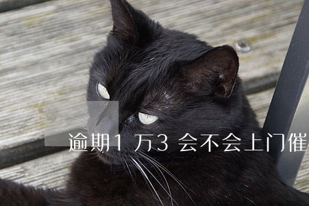 逾期1万3会不会上门催收