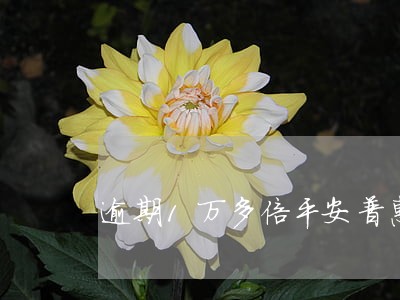 逾期1万多倍平安普惠列入呆帐
