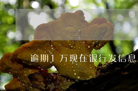 逾期1万现在银行发信息要起诉