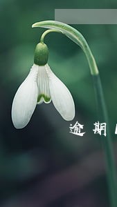逾期1个多月会变黑户吗 逾期1个多月会变黑户吗