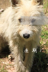 逾期1个月6天协商分期