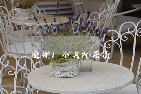 逾期1个月内还清 逾期1个月内还清