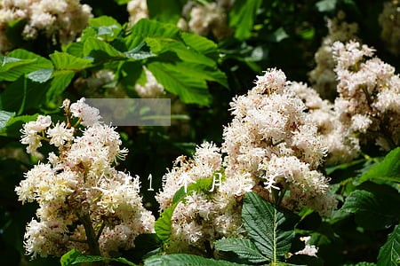 逾期1个月后果 逾期1个月后果