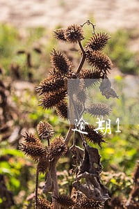 逾期1个月审车有啥后果 逾期1个月审车有啥后果