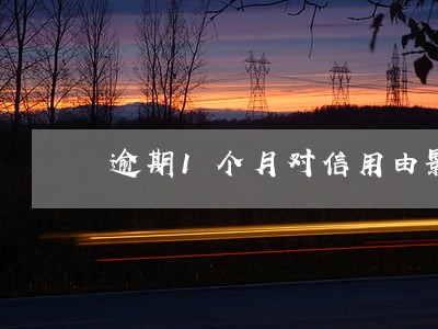 逾期1个月对信用由影响吗