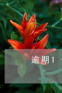 逾期1个月怎么消除 逾期1个月怎么消除