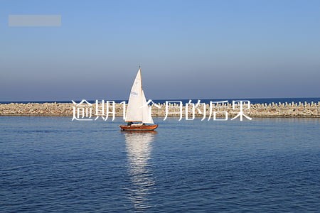 逾期1个月的后果 逾期1个月的后果