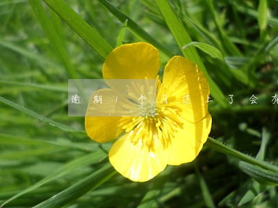 逾期1个月还上了会有不良记录吗