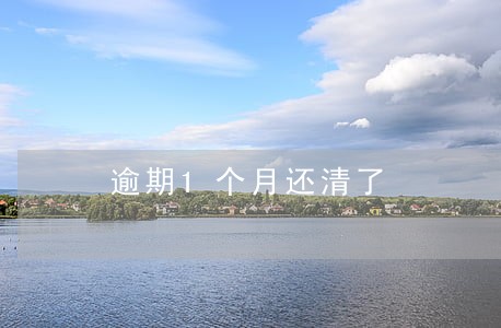 逾期1个月还清了 逾期1个月还清了