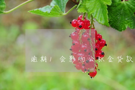 逾期1会影响公积金贷款吗 逾期1会影响公积金贷款吗