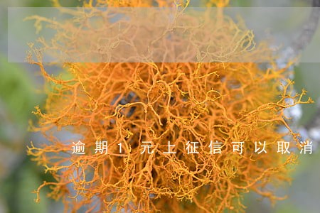 逾期1元上征信可以取消吗 逾期1元上征信可以取消吗