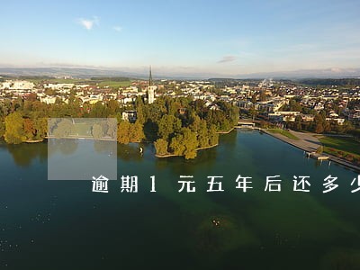 逾期1元五年后还多少 逾期1元五年后还多少