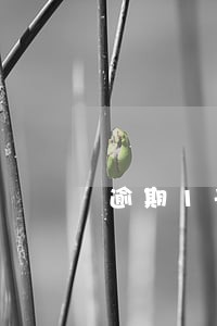 逾期1千多也会上门取证吗 逾期1千多也会上门取证吗