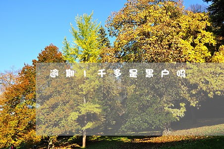 逾期1千多是黑户吗 逾期1千多是黑户吗