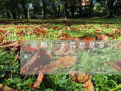 逾期1千罚息是多少 逾期1千罚息是多少