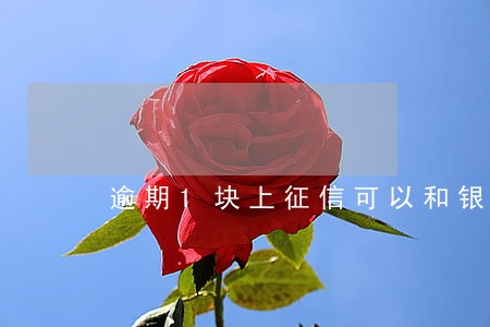 逾期1块上征信可以和银行申述吗 逾期1块上征信可以和银行申述吗