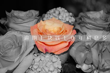 逾期1块钱10年利息多少 逾期1块钱10年利息多少