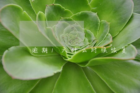 逾期1天什么时候恢复 逾期1天什么时候恢复