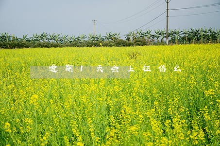 逾期1天会上征信么 逾期1天会上征信么